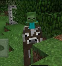 File:Cow jockey.jpg