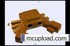 Images (42)