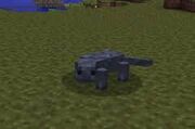 Monitor Lizard
