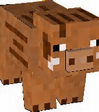 File:Boar.jpeg