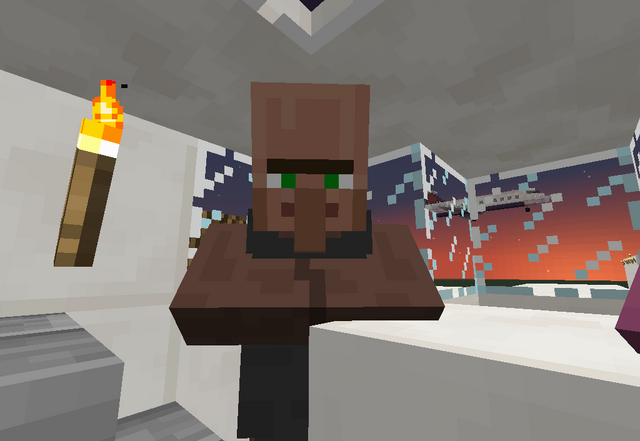 File:Villager talking in his aircraft.png