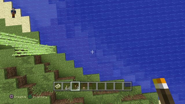 File:Minecraft PlayStation®4 Edition 20141228171337.jpg