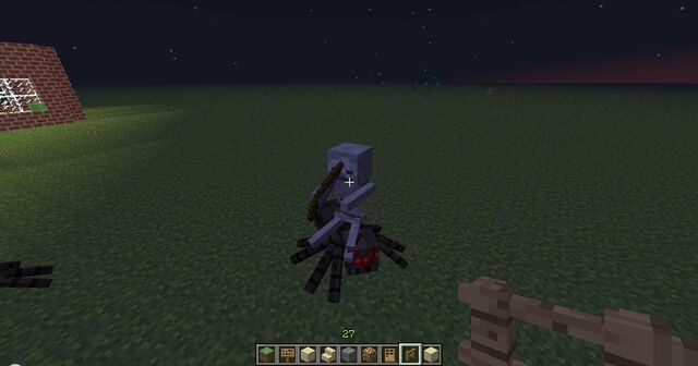 File:Spider jockey231.jpeg