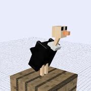 Vulture
