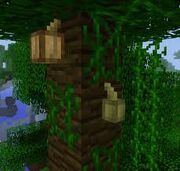 Images (19)