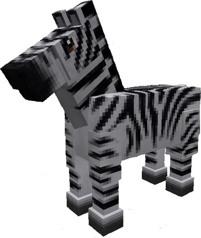 File:Zebra.jpg