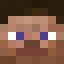 File:SteveFace.png