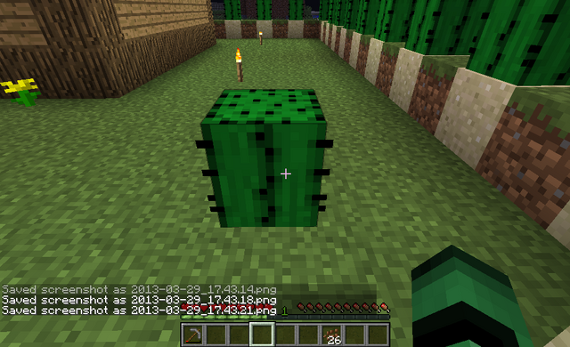 File:Cactus on Grass 3.png
