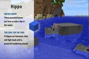 Hippos