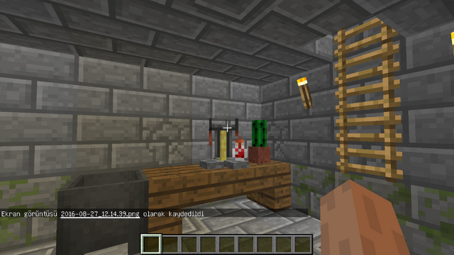 File:Secret Room-3.png