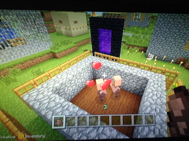 File:How to breed Villagers.jpg