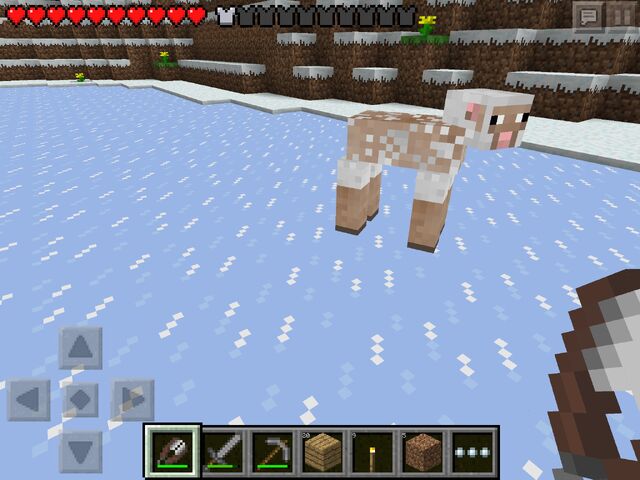 File:Pocket Edition sheared sheep.jpg