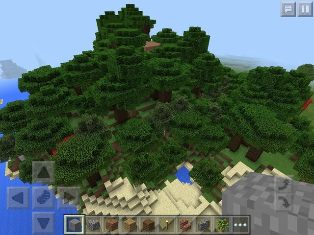 File:Dark oak biome.jpg