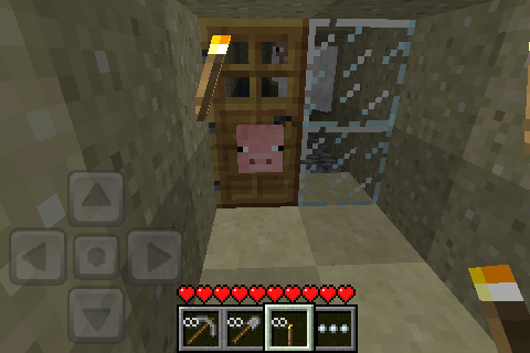 File:Pigheadeddoor.PNG