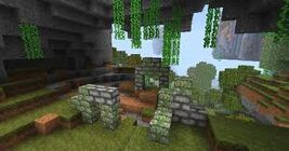 Vinesinacave.jpeg