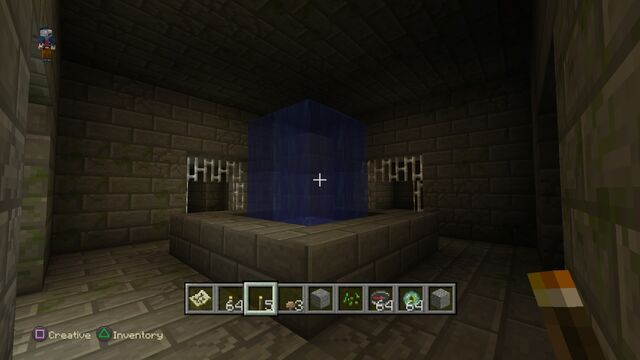 File:Minecraft PlayStation®4 Edition 20141228190302.jpg