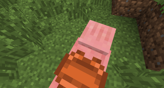 File:Saddled Pig Perspective.png