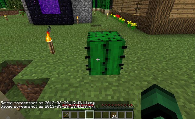 File:Cactus on Grass 4.png