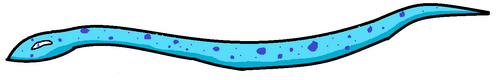 Waterkeeper