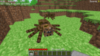 Araña original.png