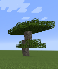 Acacia.png