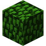 Leaves no Holes