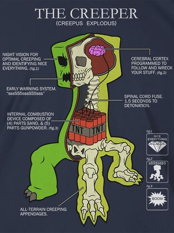 File:Creeper bio.jpg