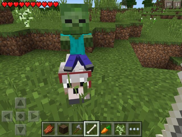 File:Wolf jockey..jpg