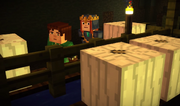 Mcsm white-pumpkin-farm