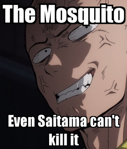 File:The-mosquito-even-saitama-can-t-kill-it.png