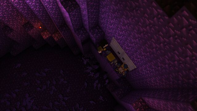 File:Endermites2.jpg