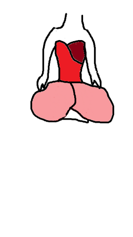 File:Suposta.png