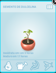 Plantas2