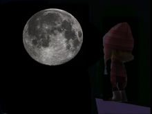Edith at night