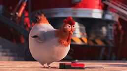 Pollito.jpg