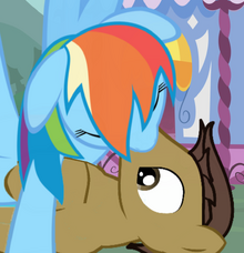Rainbow Dash and Frank.png