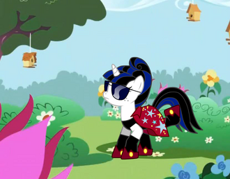 PonyW.png