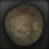 File:Miscreatedrottenappleicon.jpg