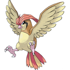 250px-017Pidgeotto