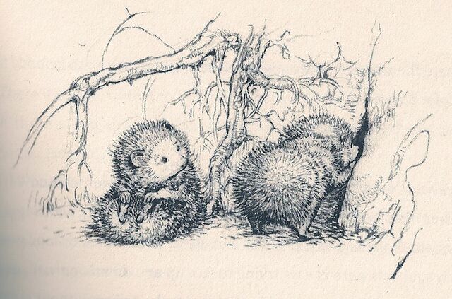File:Furtle and Ouch.jpg