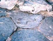 Pompeji Penis Sign