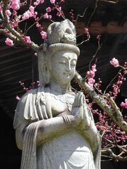 Daienin Kannon.jpg
