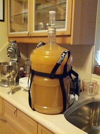 Mead Five gallons fermenting.jpg