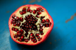 Punica granatum 0350.jpg
