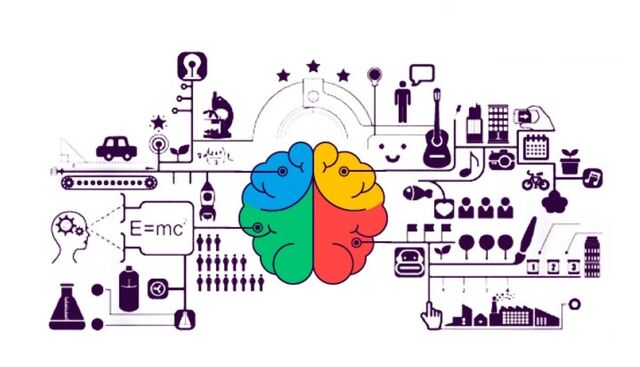 Файл:Brain train-0.jpg