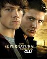 Thumbnail for version as of 17:29, February 18, 2013