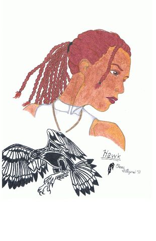 File:HawkCloseUp.jpg