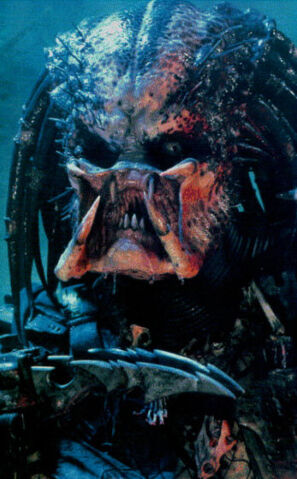 File:PREDATOR.jpg