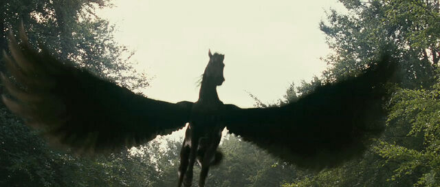 File:Pegasus.jpg
