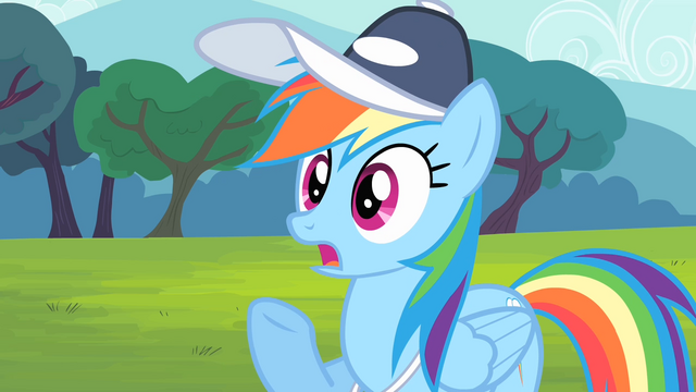 File:Rainbow Dash shocked S4E05.png